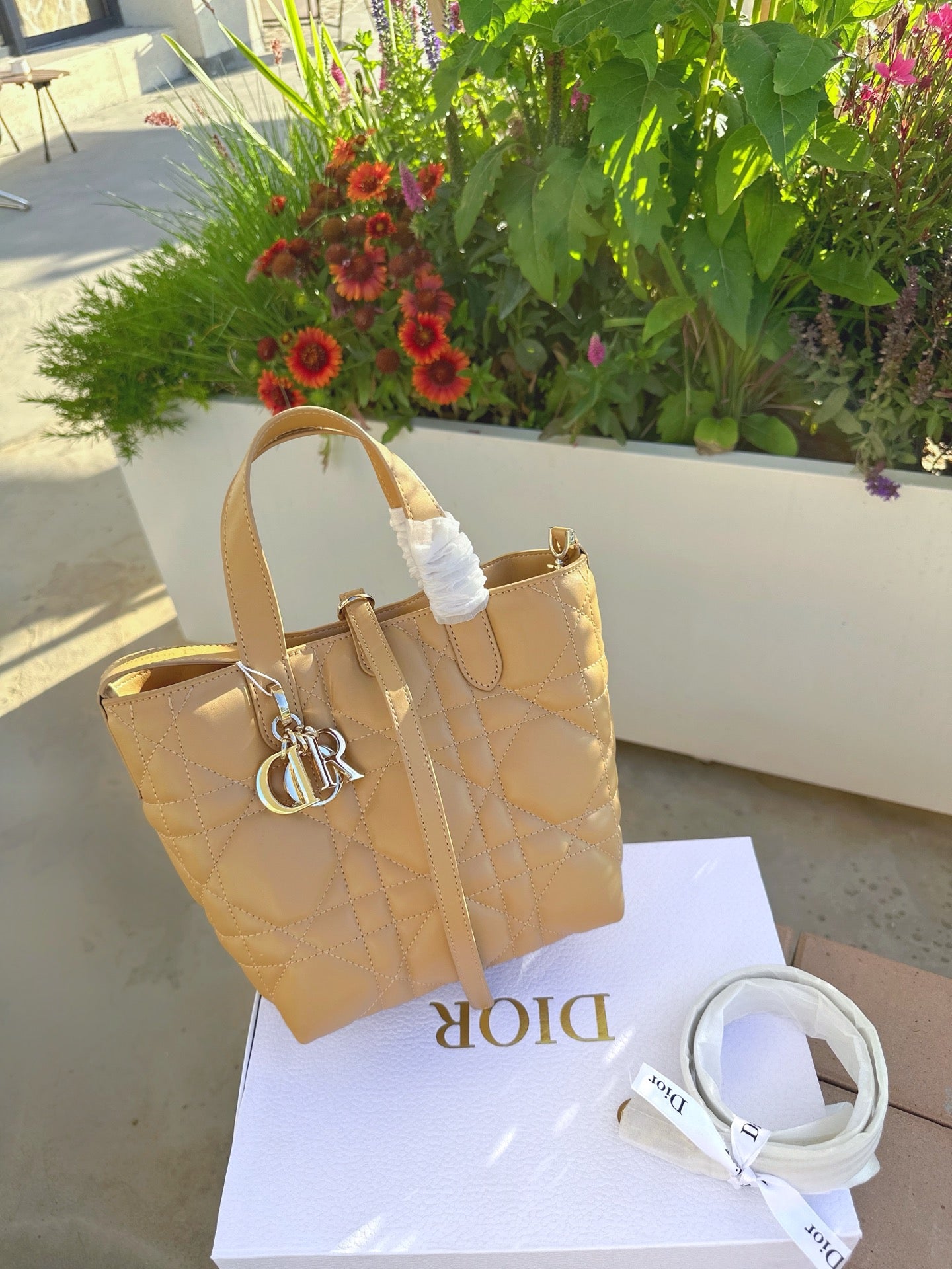 Dior Toujour Vertical Handbag