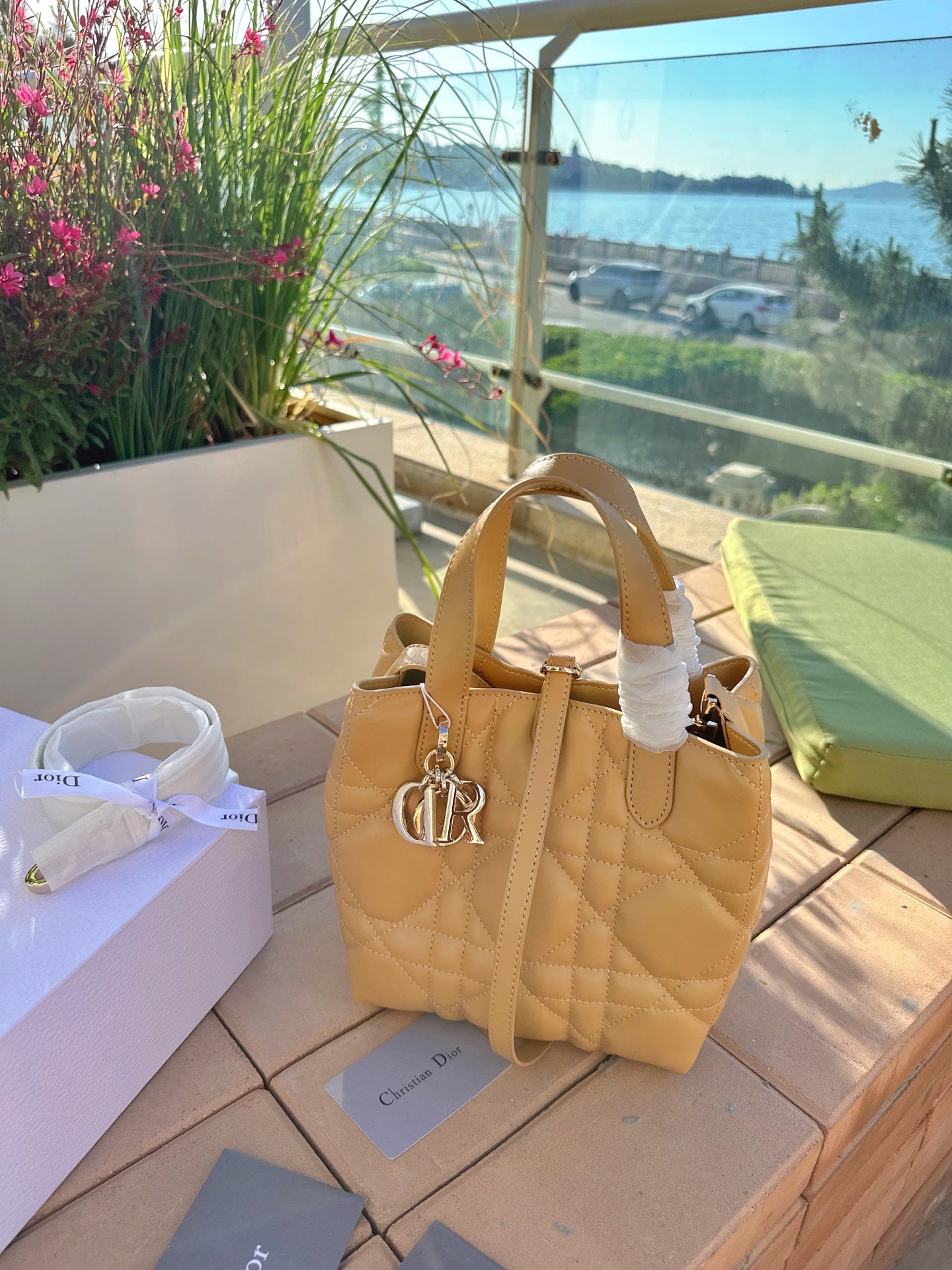 Dior Toujour Vertical Handbag