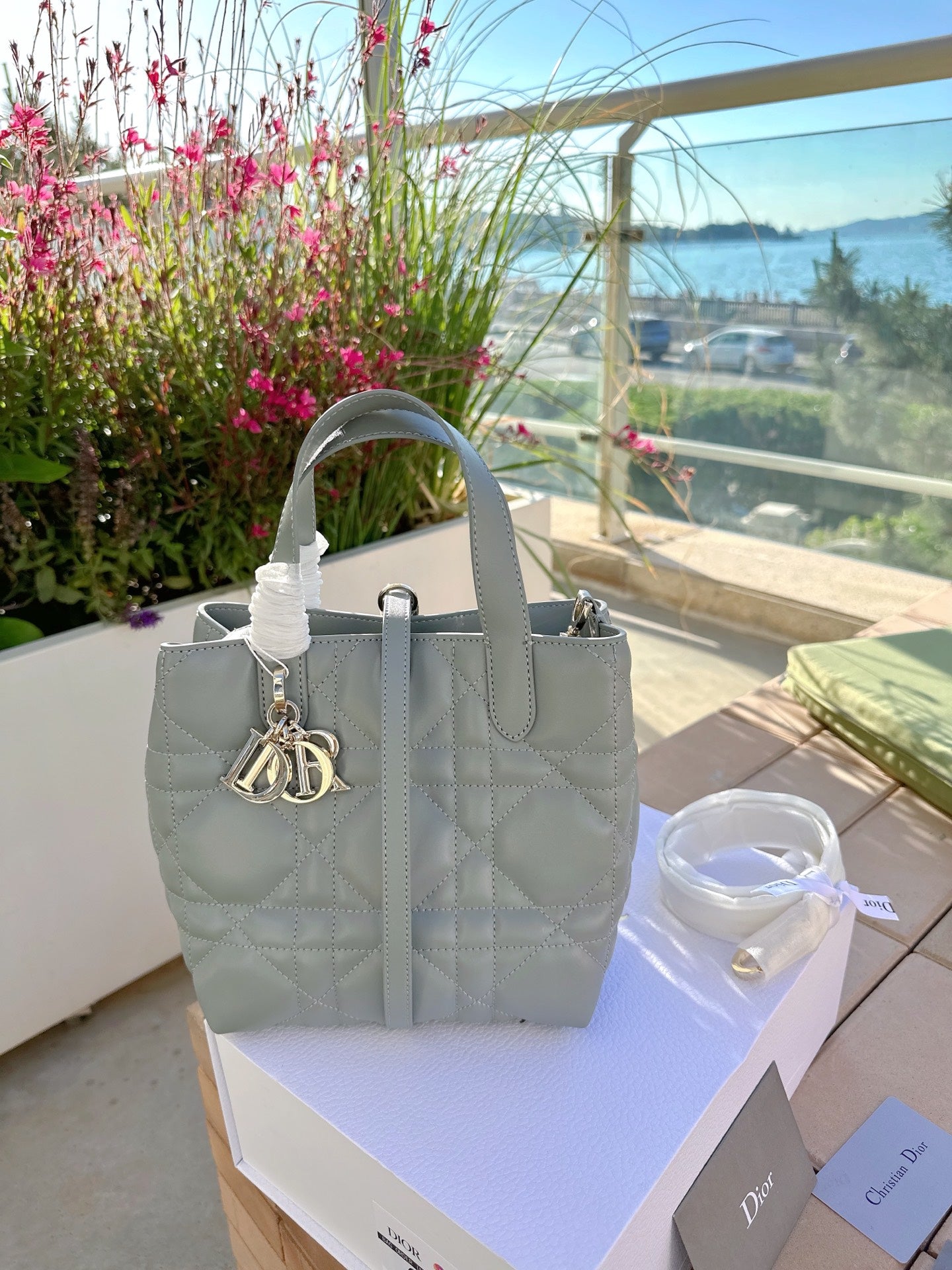 Dior Toujour Vertical Handbag