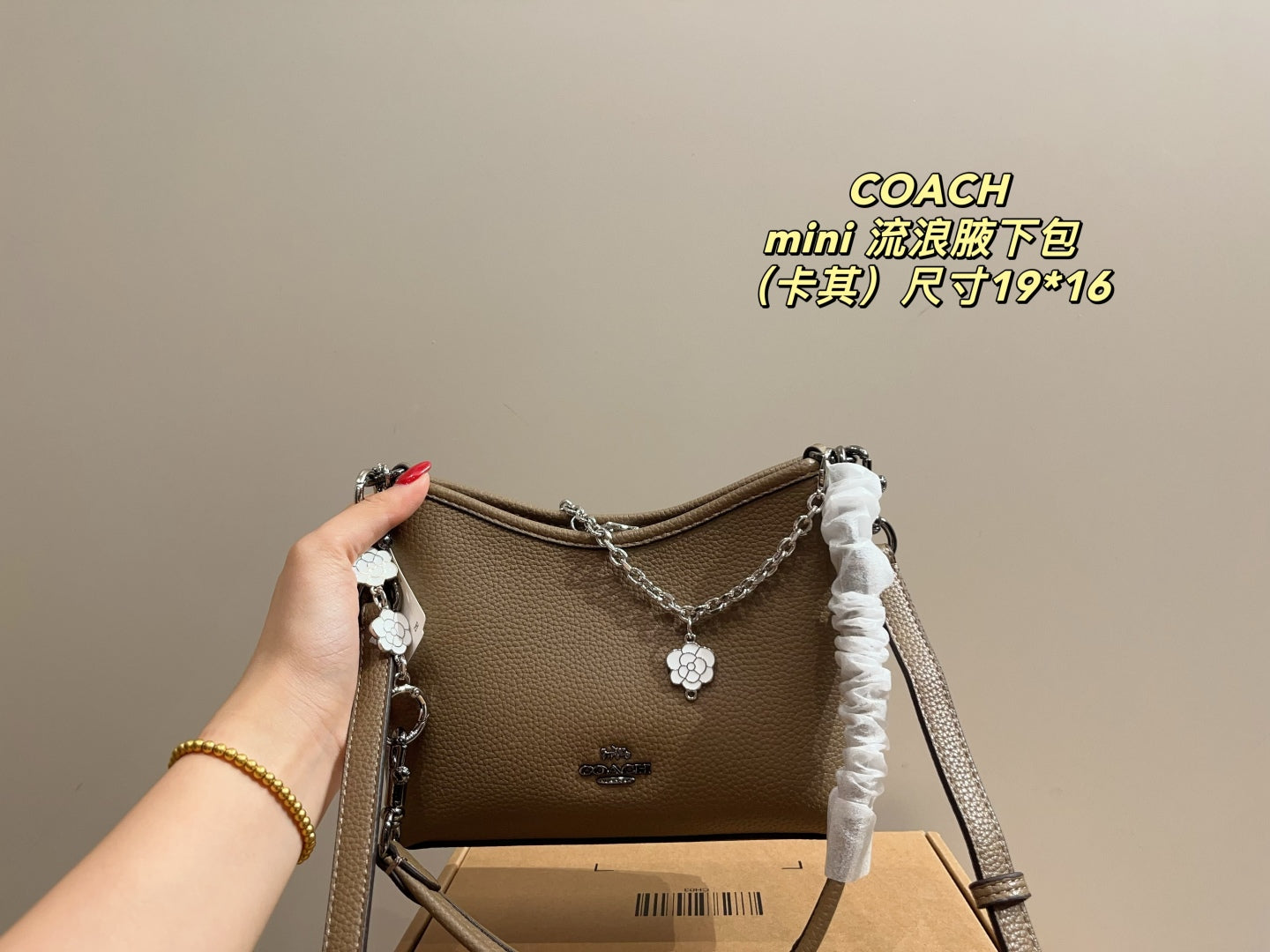 Coach Mini Hobo Underarm Bag