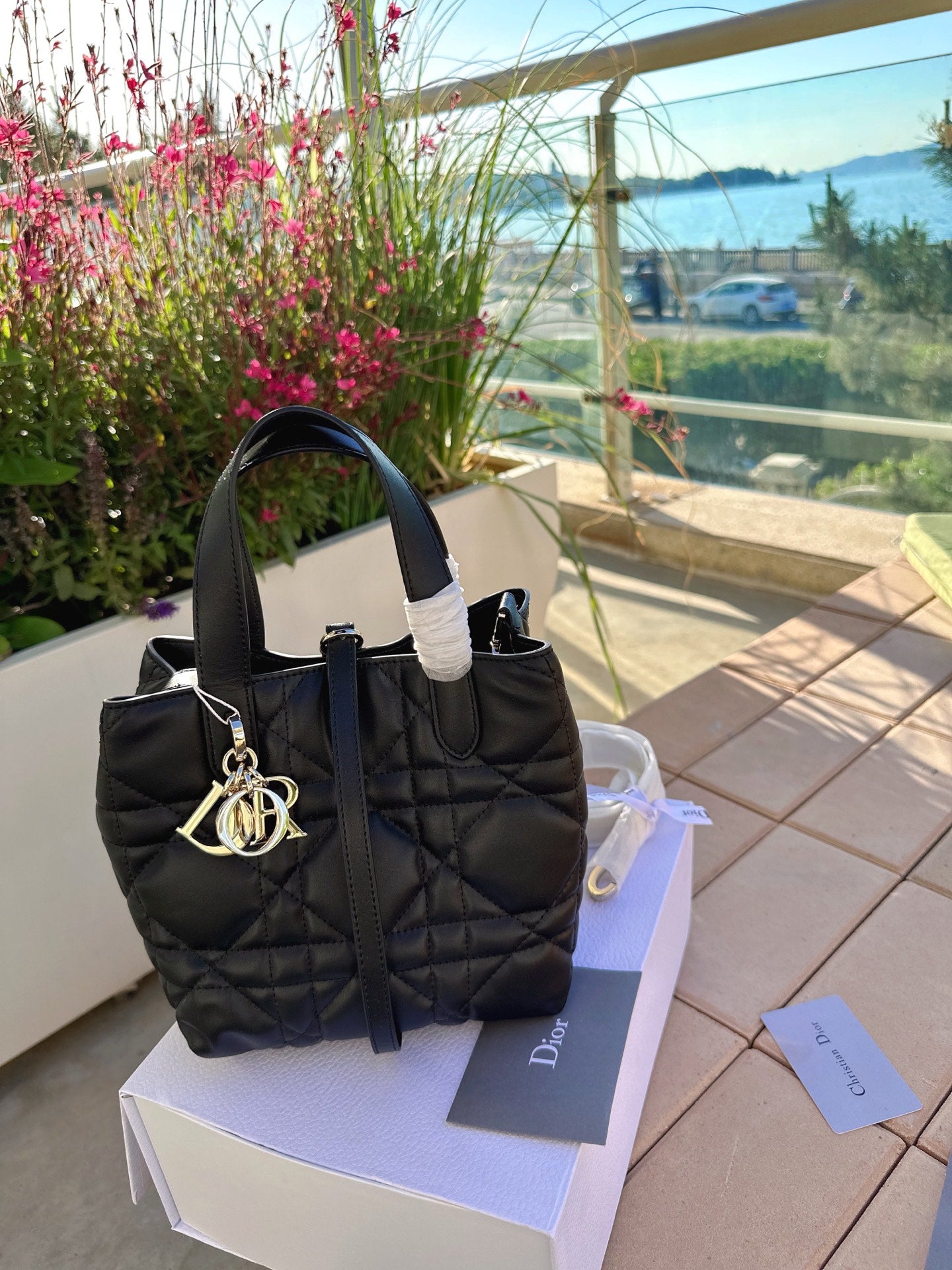 Dior Toujour Vertical Handbag