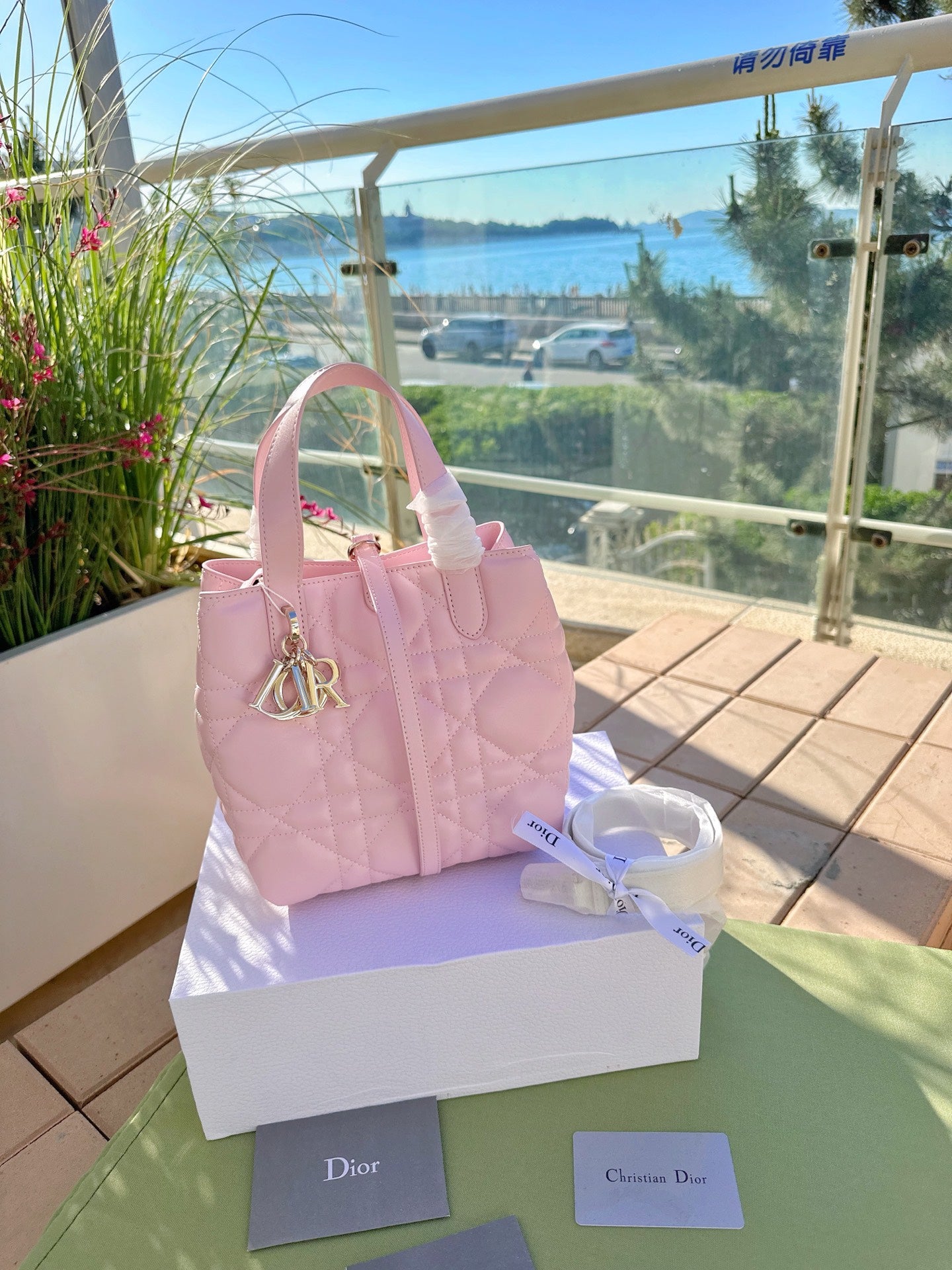 Dior Toujour Vertical Handbag