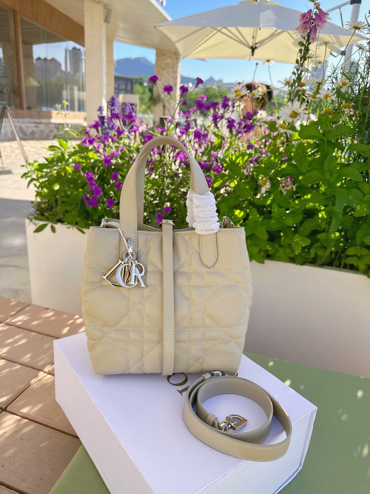 Dior Toujour Vertical Handbag