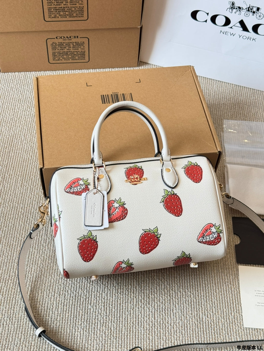 Coach 🍓mini Rowan Pillow Bag
