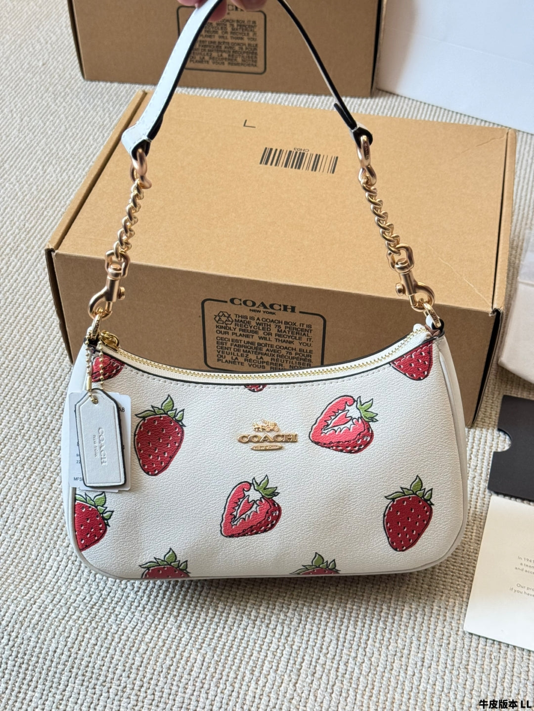 Coach Strawberry π Underarm Bag