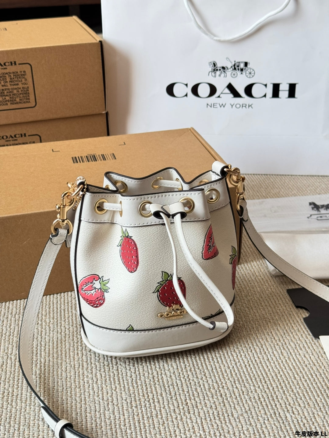 COACH Dempsey 🍓Mini Bucket Bag