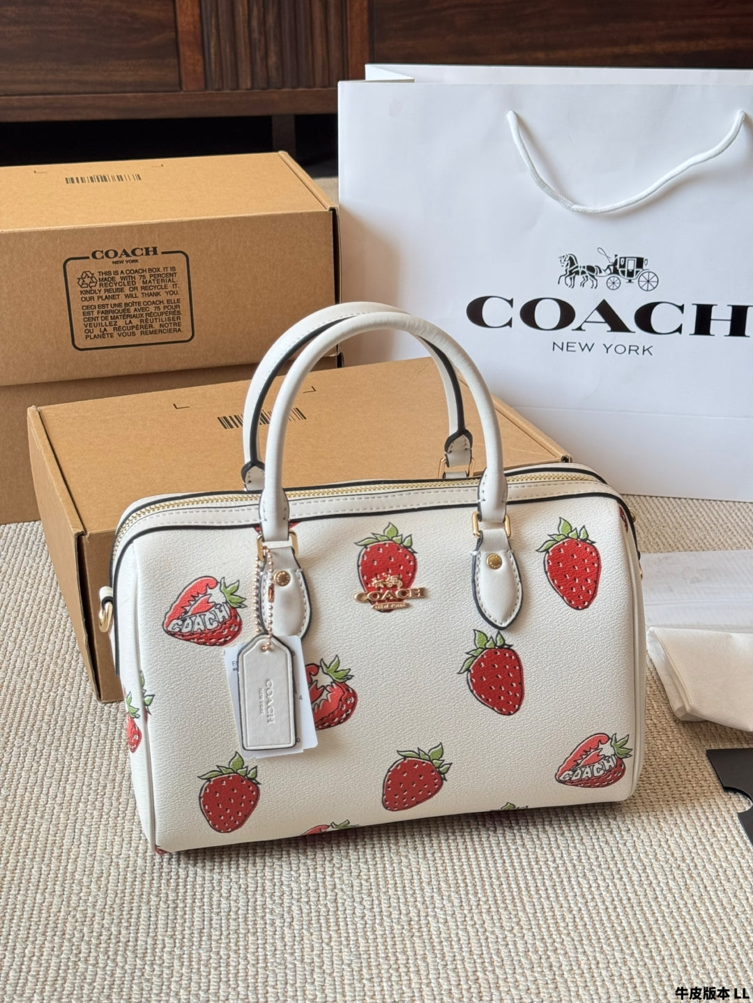 Coach 🍓mini Rowan Pillow Bag