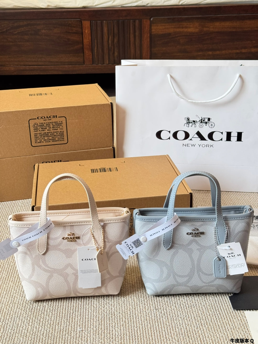 COACH's adorable City small tote bag