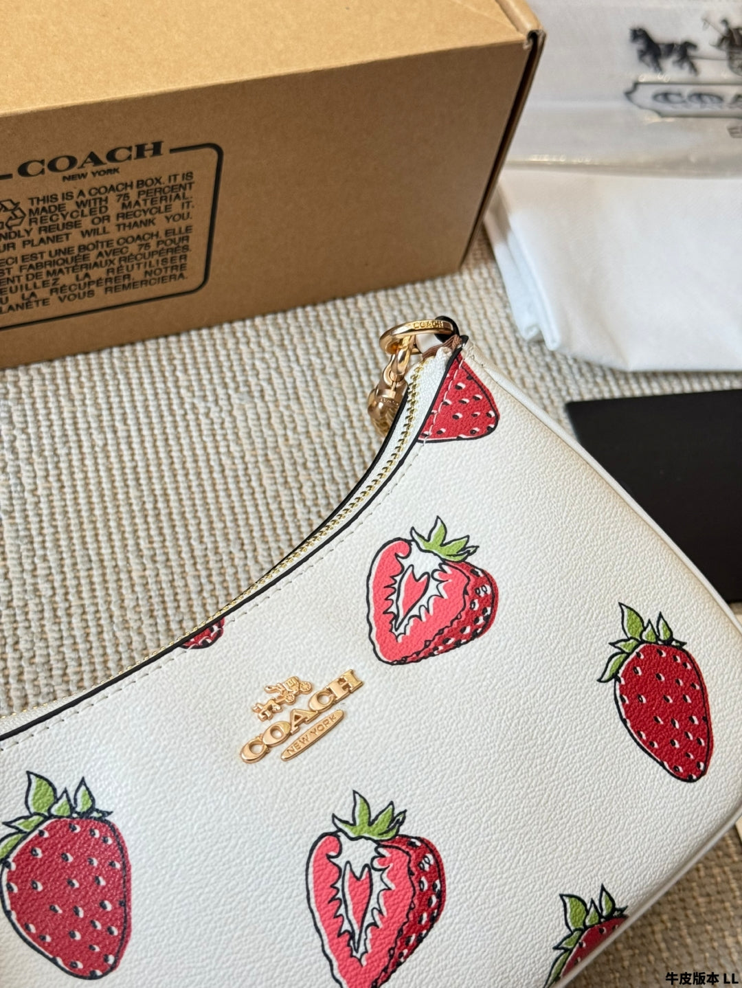 Coach Strawberry π Underarm Bag
