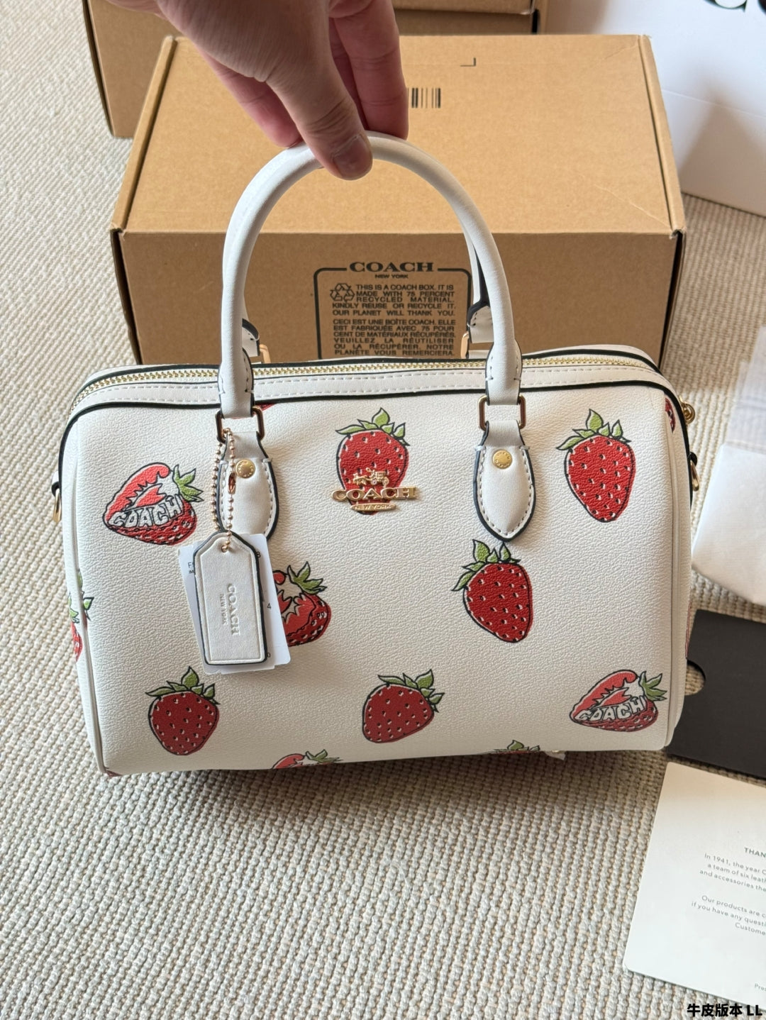 Coach 🍓mini Rowan Pillow Bag