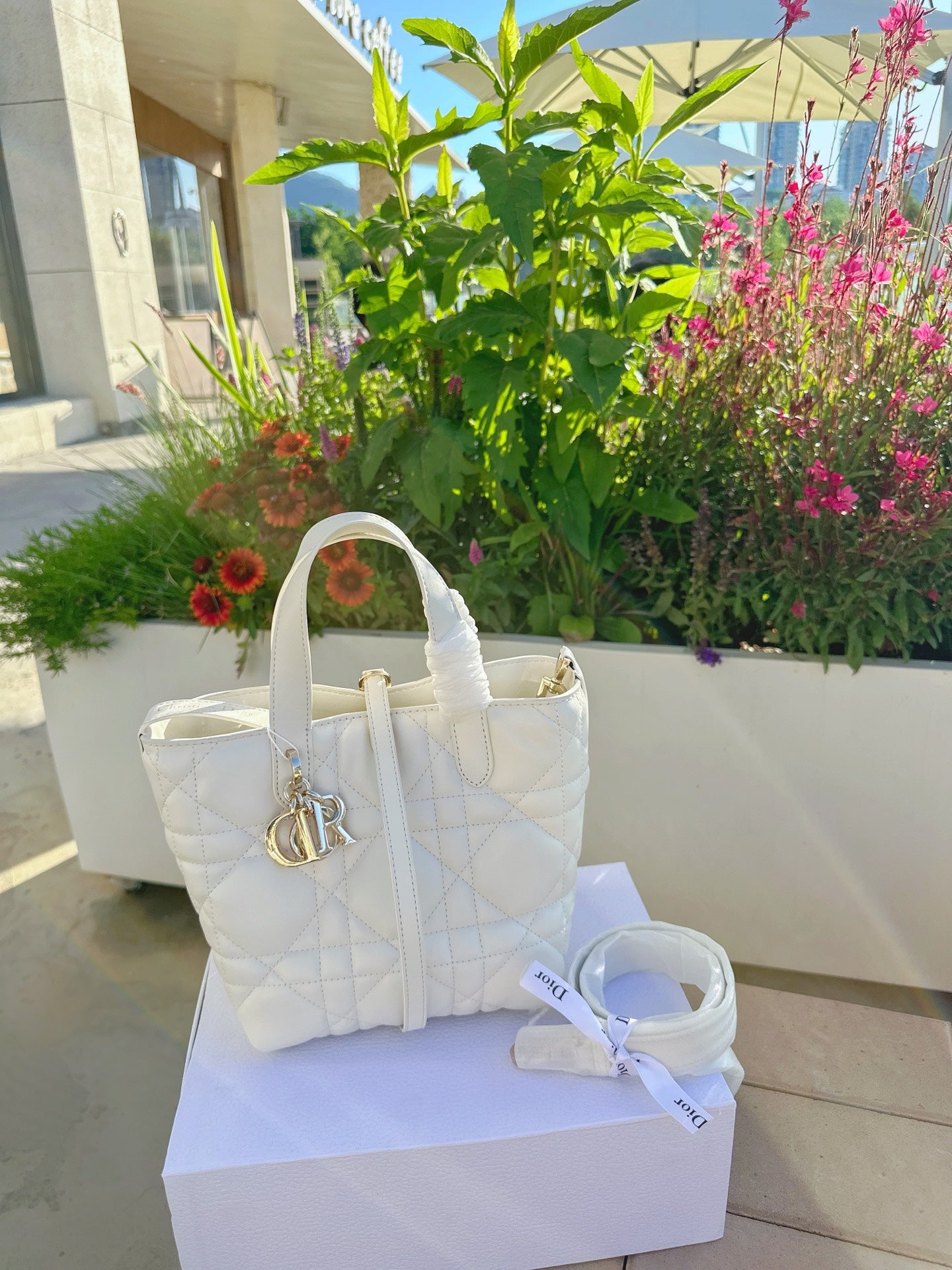Dior Toujour Vertical Handbag