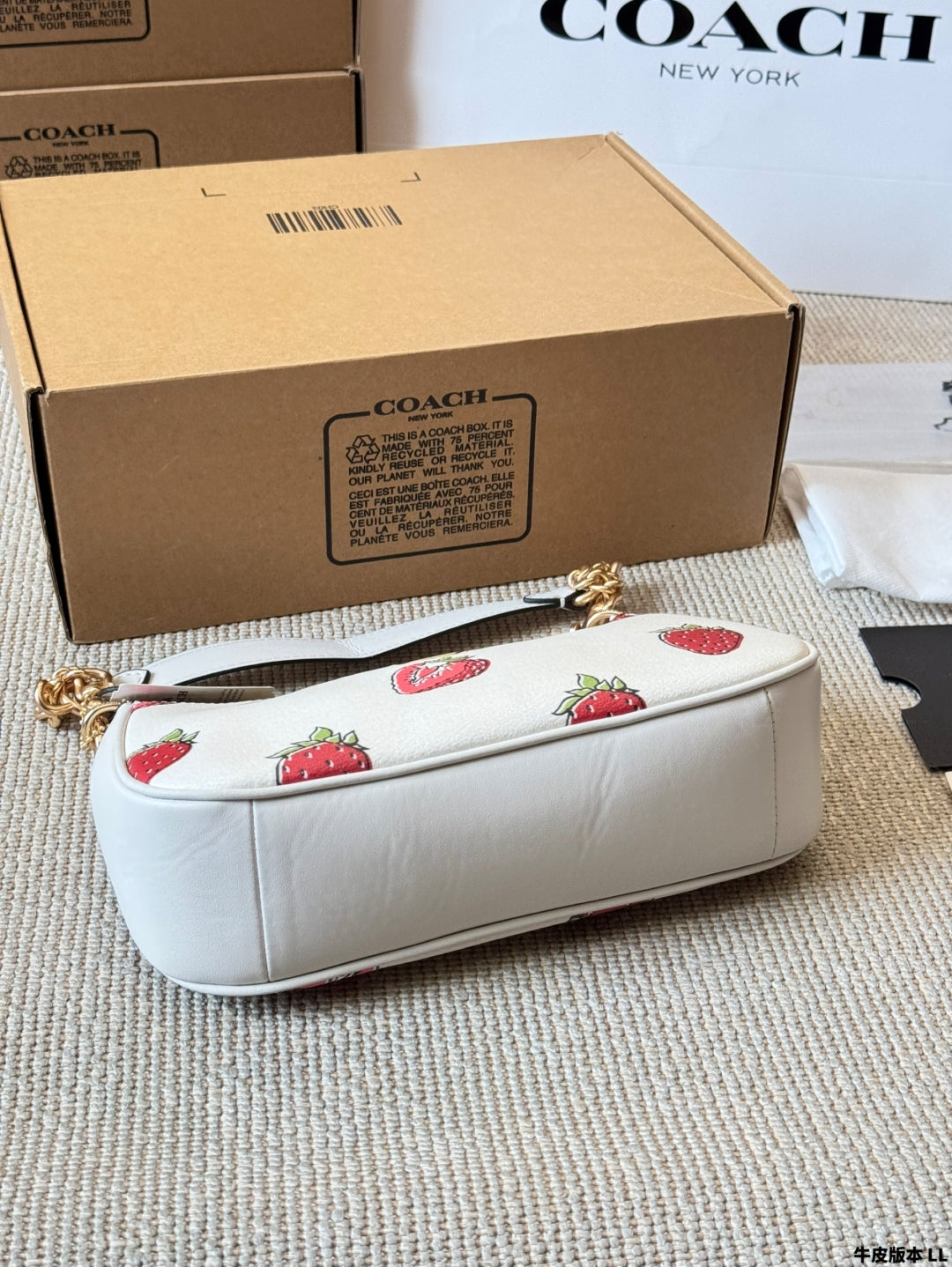 Coach Strawberry π Underarm Bag