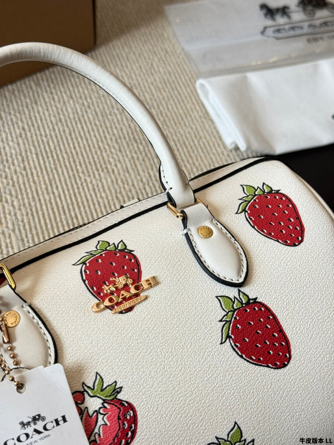 Coach 🍓mini Rowan Pillow Bag