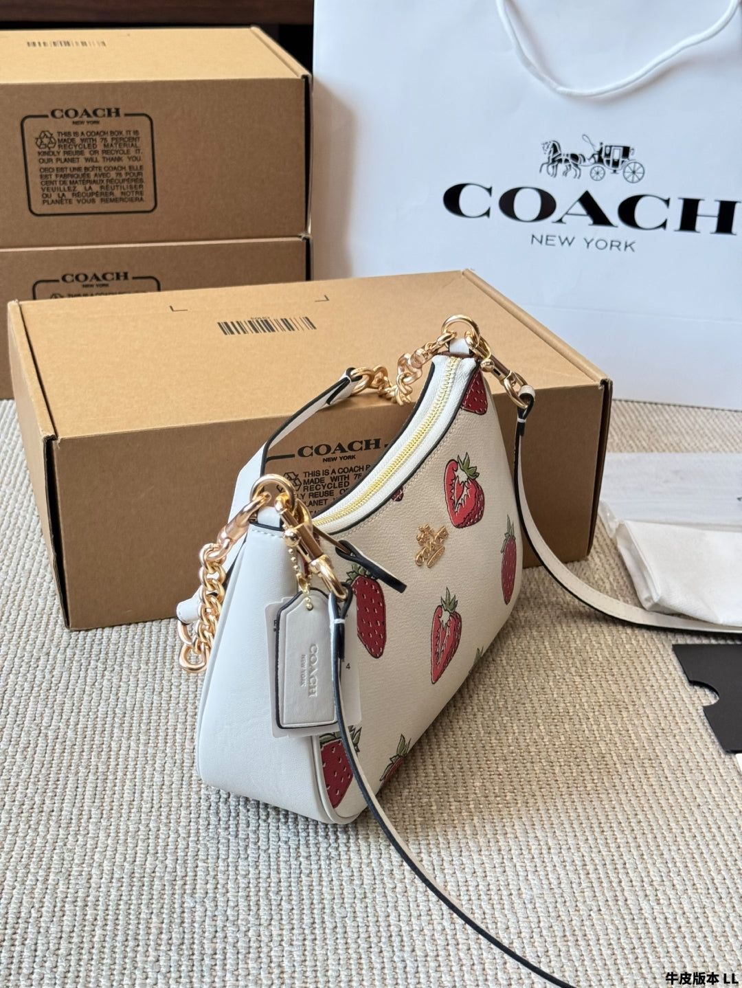Coach Strawberry π Underarm Bag
