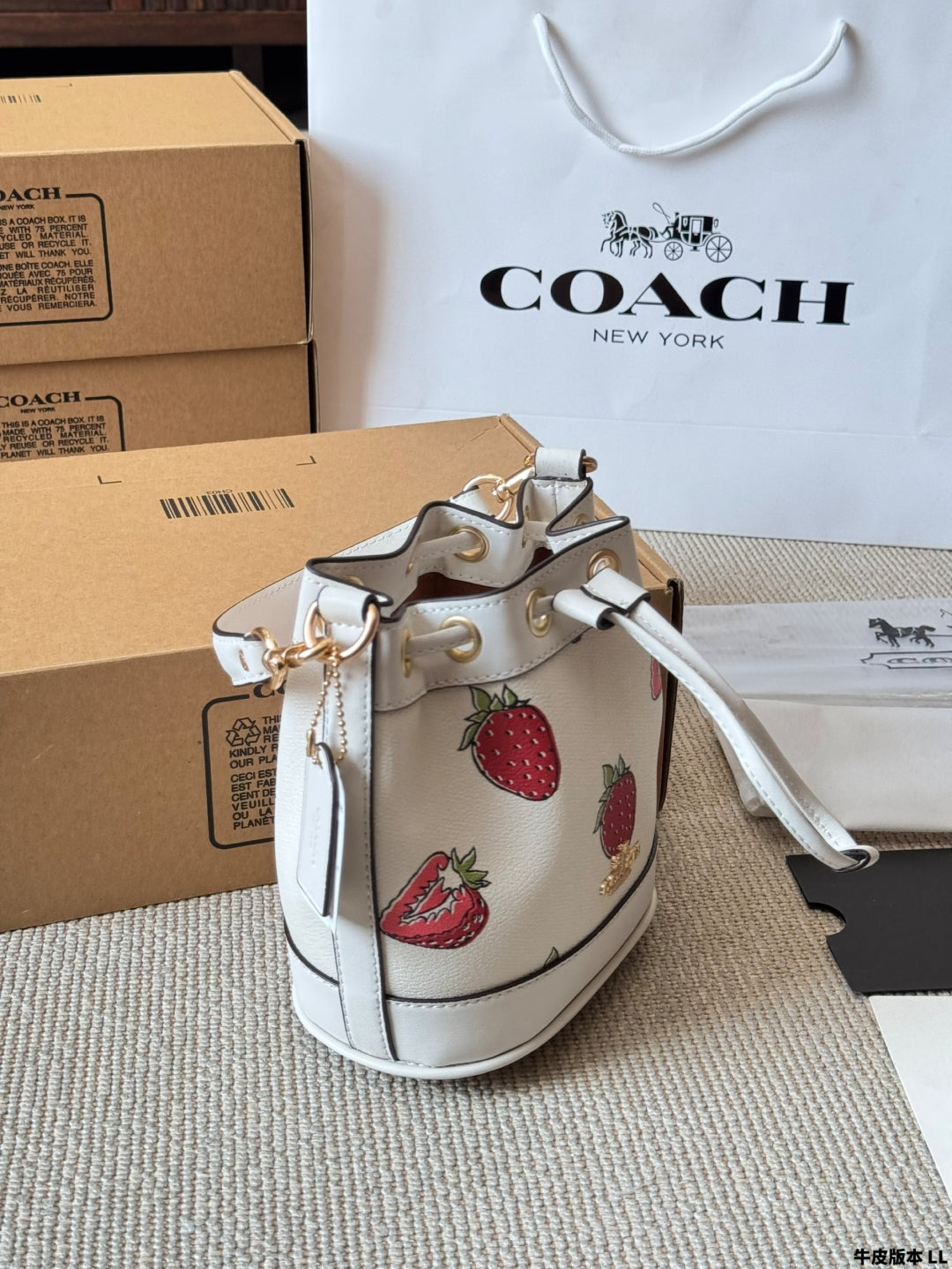 COACH Dempsey 🍓Mini Bucket Bag
