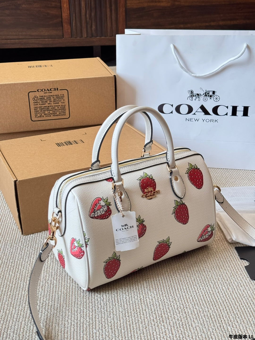 Coach 🍓mini Rowan Pillow Bag