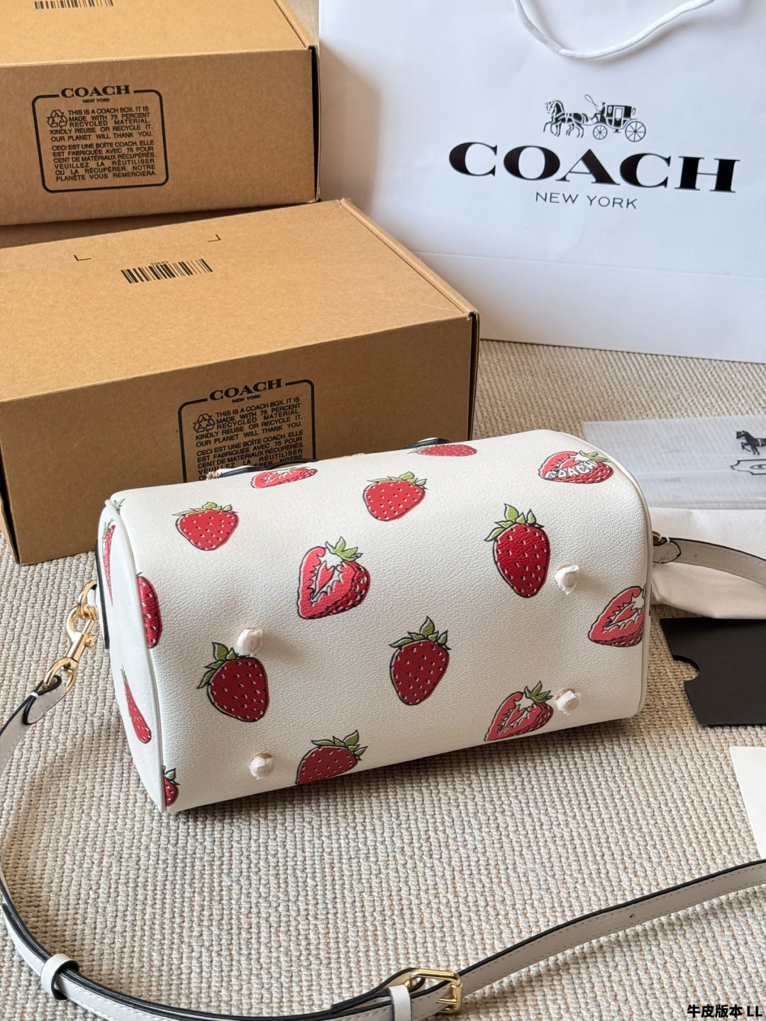 Coach 🍓mini Rowan Pillow Bag