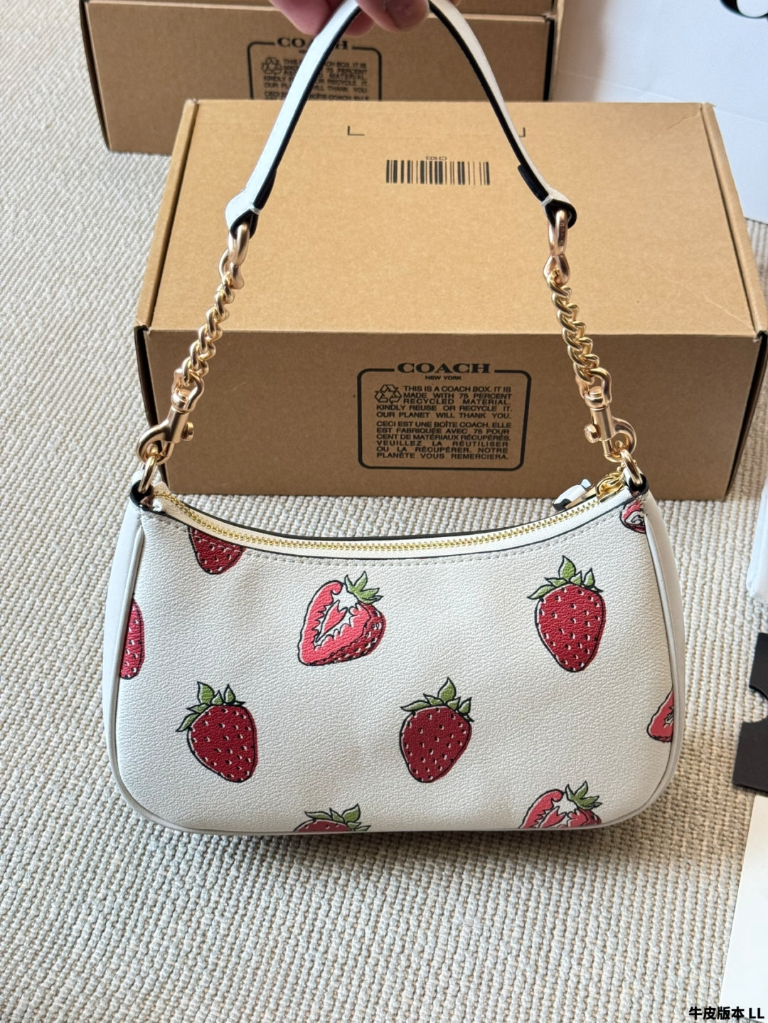 Coach Strawberry π Underarm Bag