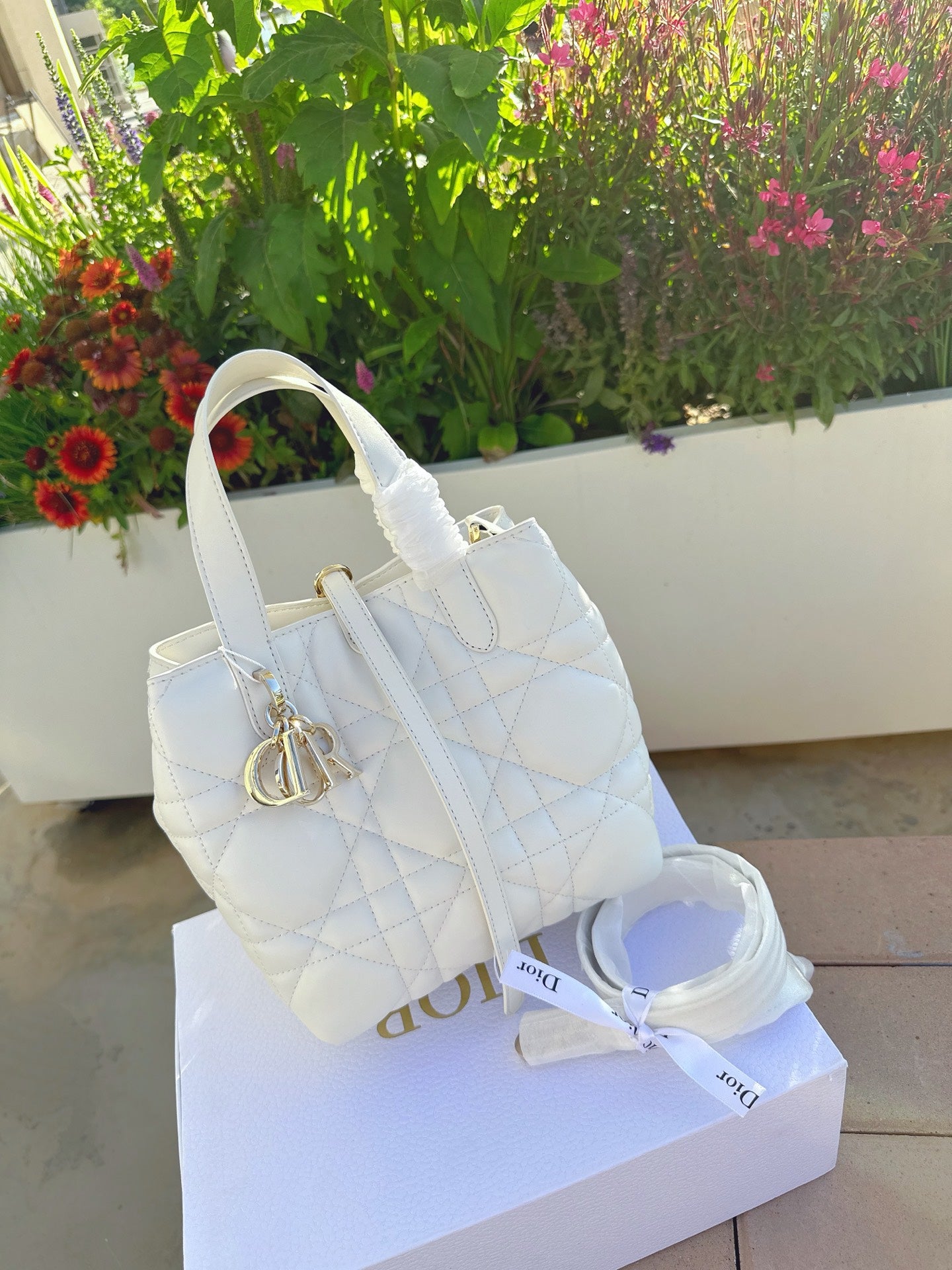 Dior Toujour Vertical Handbag
