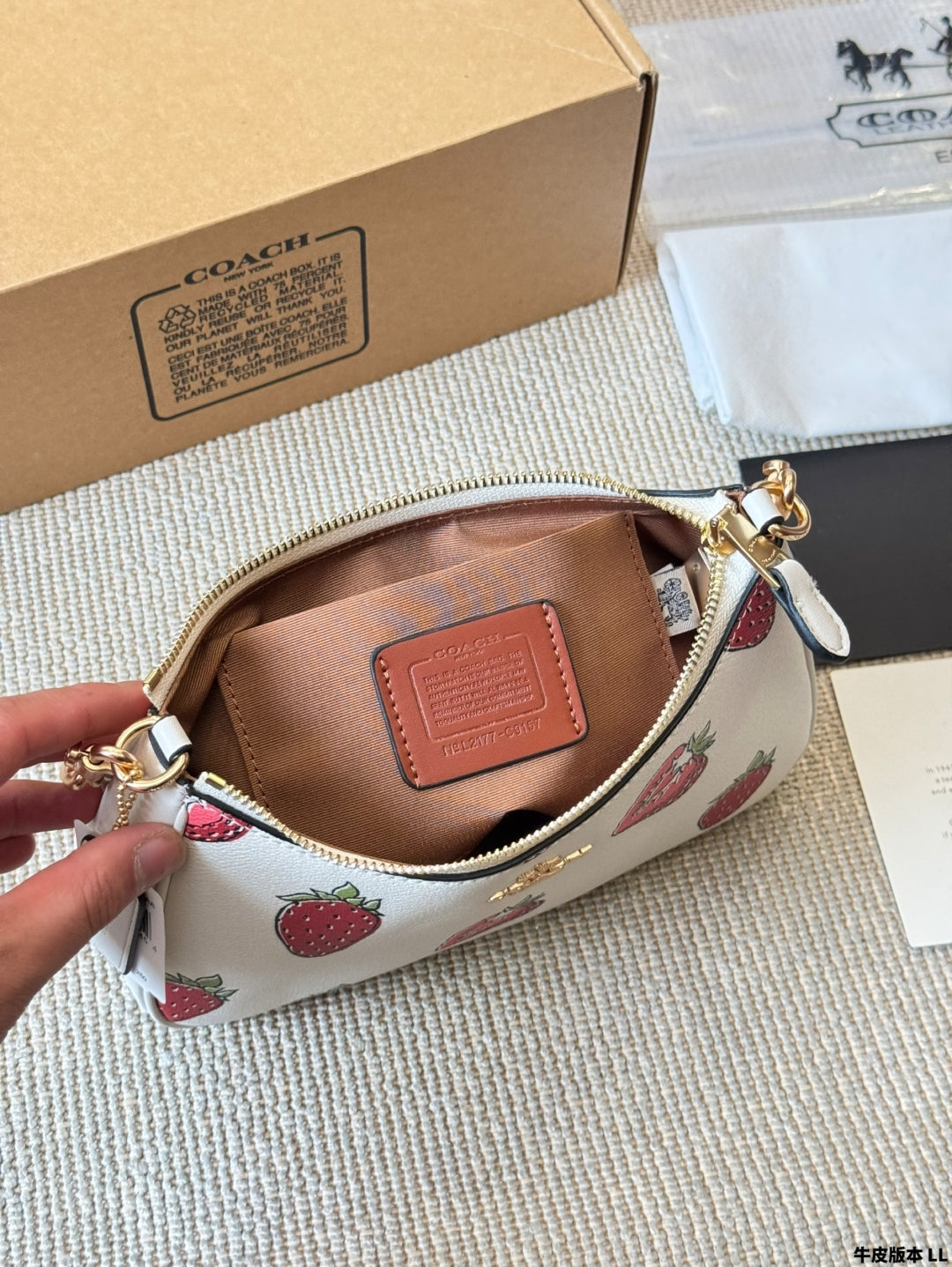 Coach Strawberry π Underarm Bag