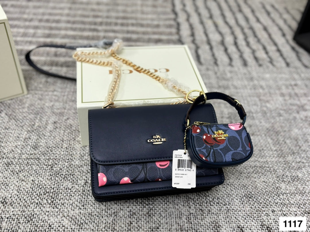 COACH Accordion Chain Bag