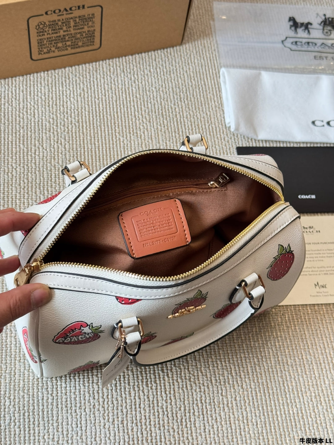 Coach 🍓mini Rowan Pillow Bag