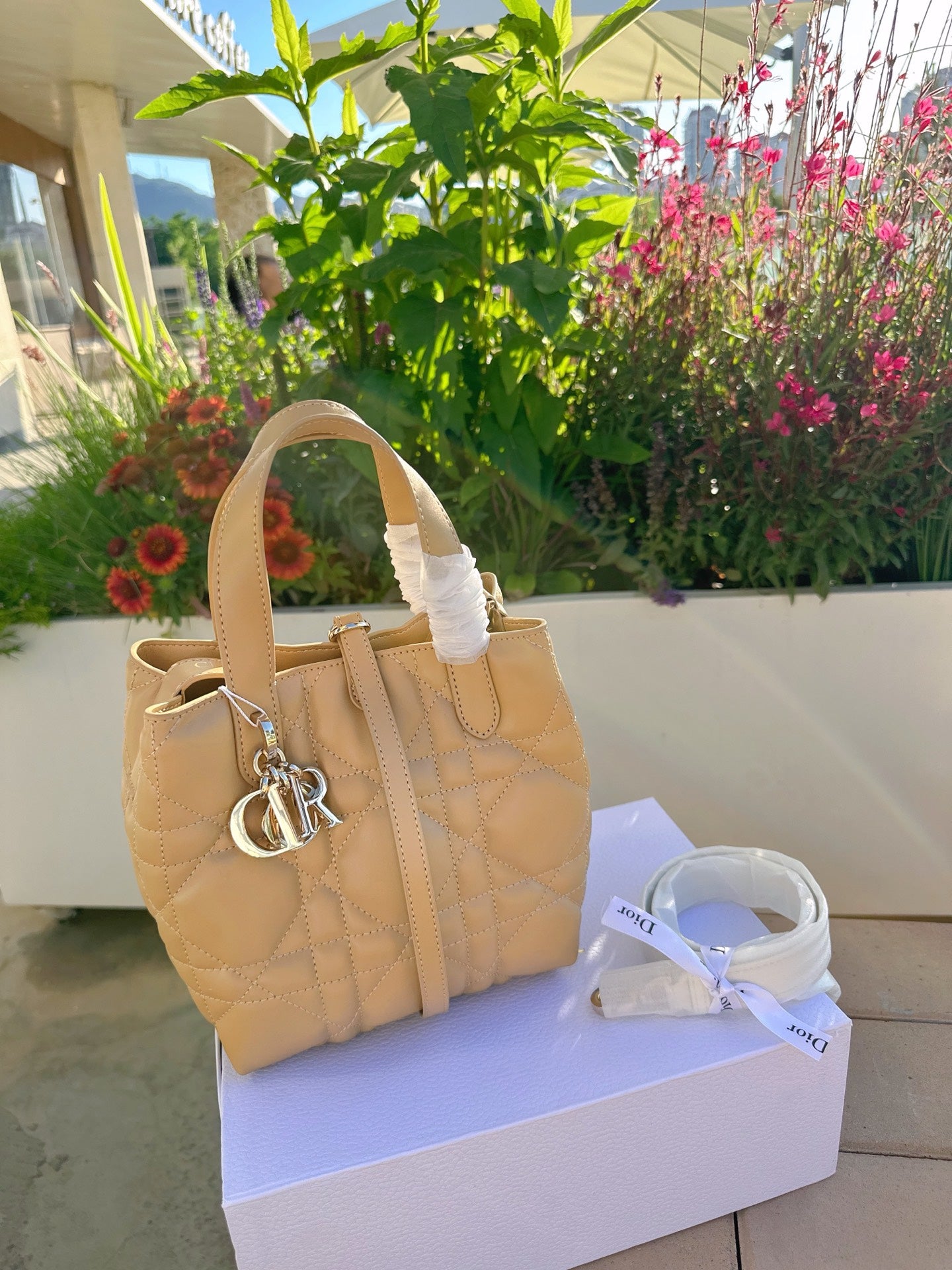 Dior Toujour Vertical Handbag