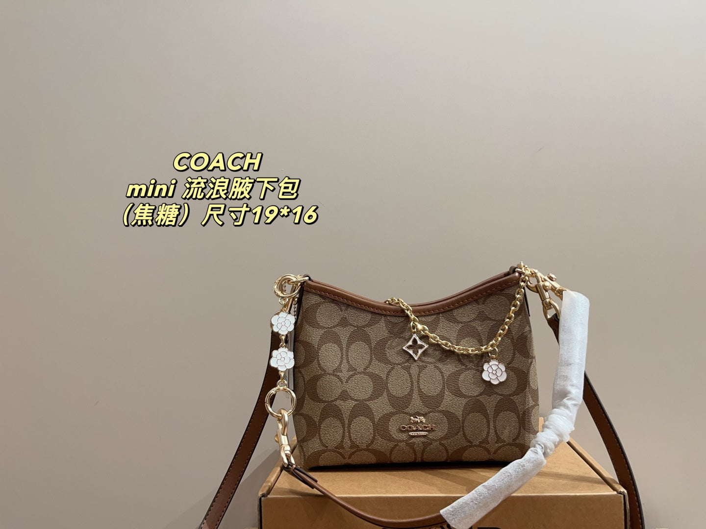 Coach Mini Hobo Underarm Bag
