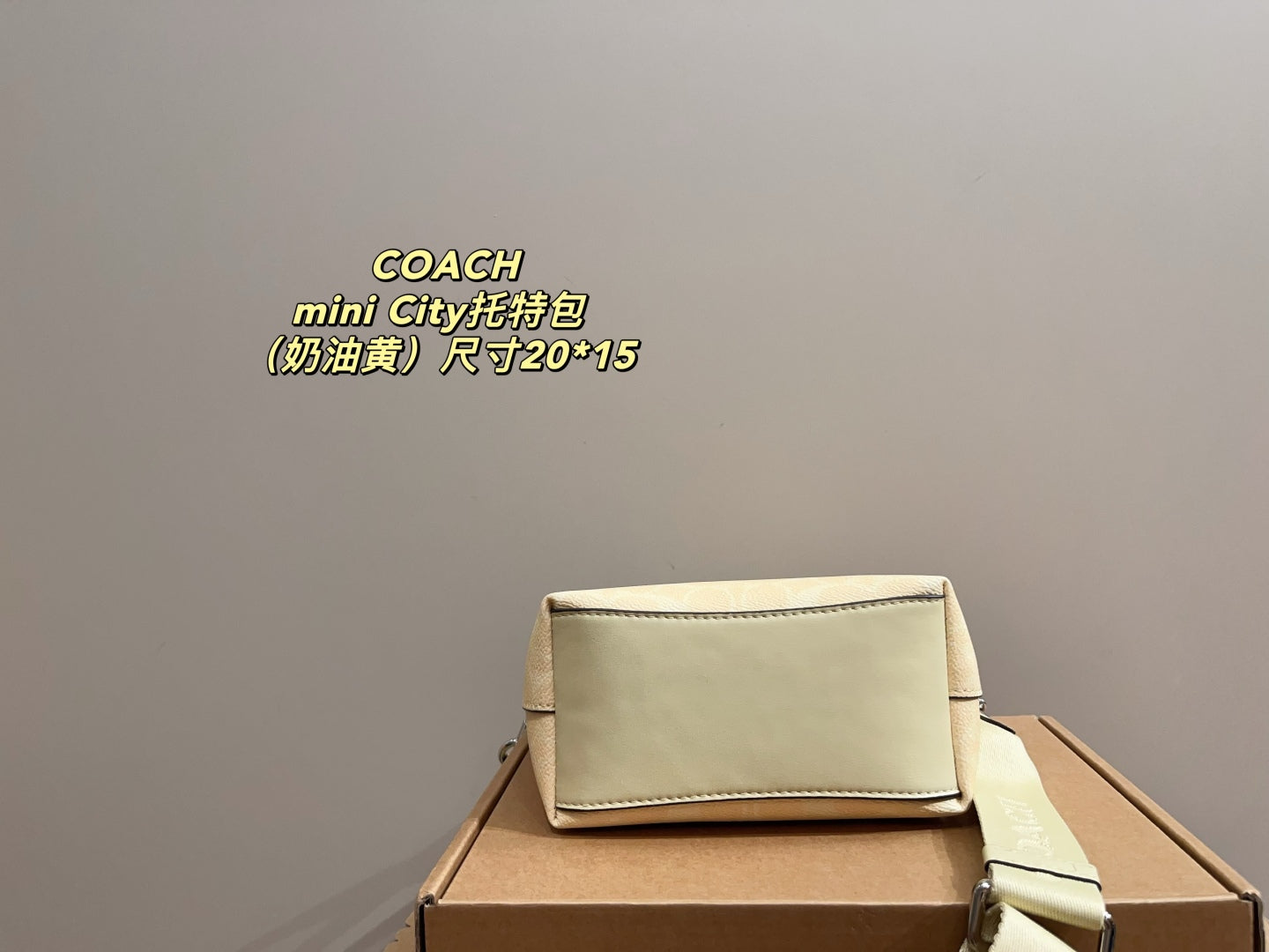 Coach City 15 Mini Tote Bag