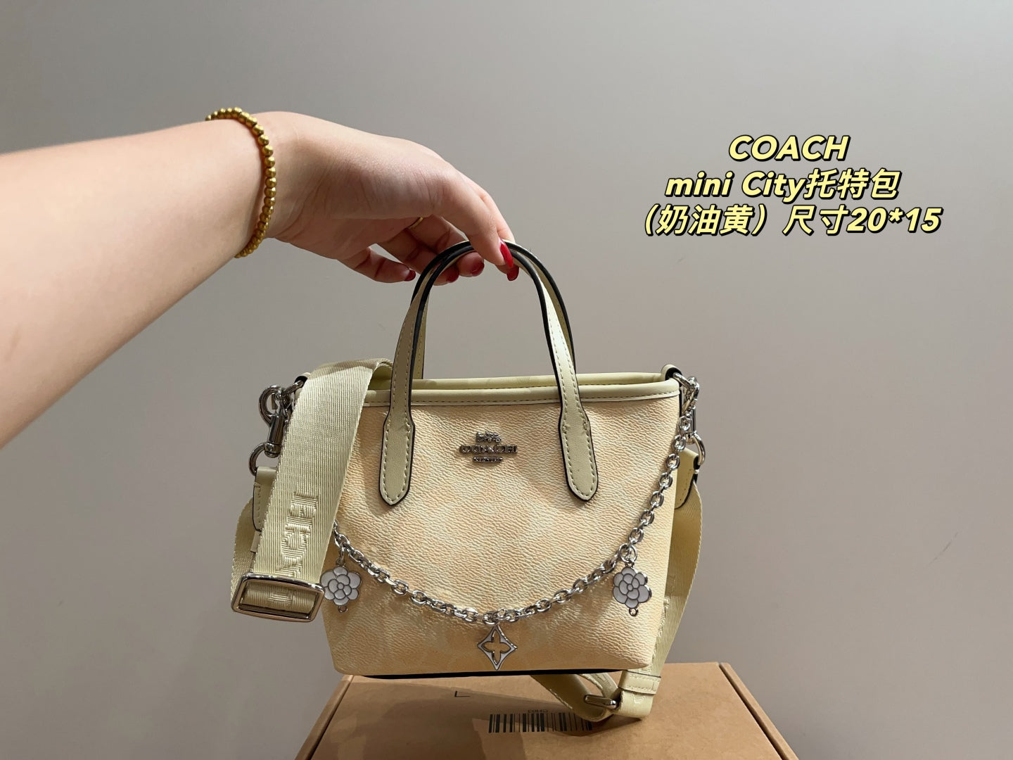 Coach City 15 Mini Tote Bag