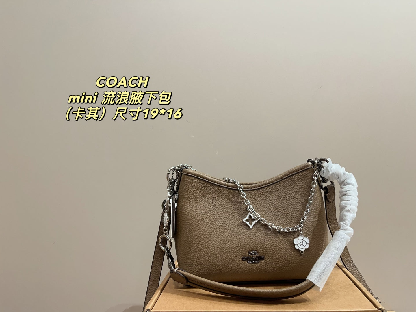 Coach Mini Hobo Underarm Bag