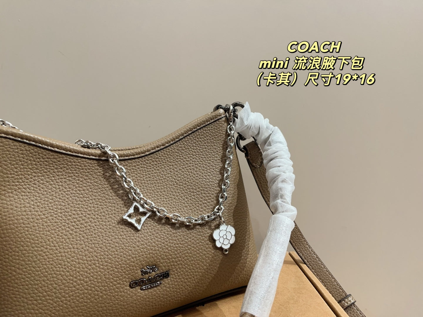 Coach Mini Hobo Underarm Bag