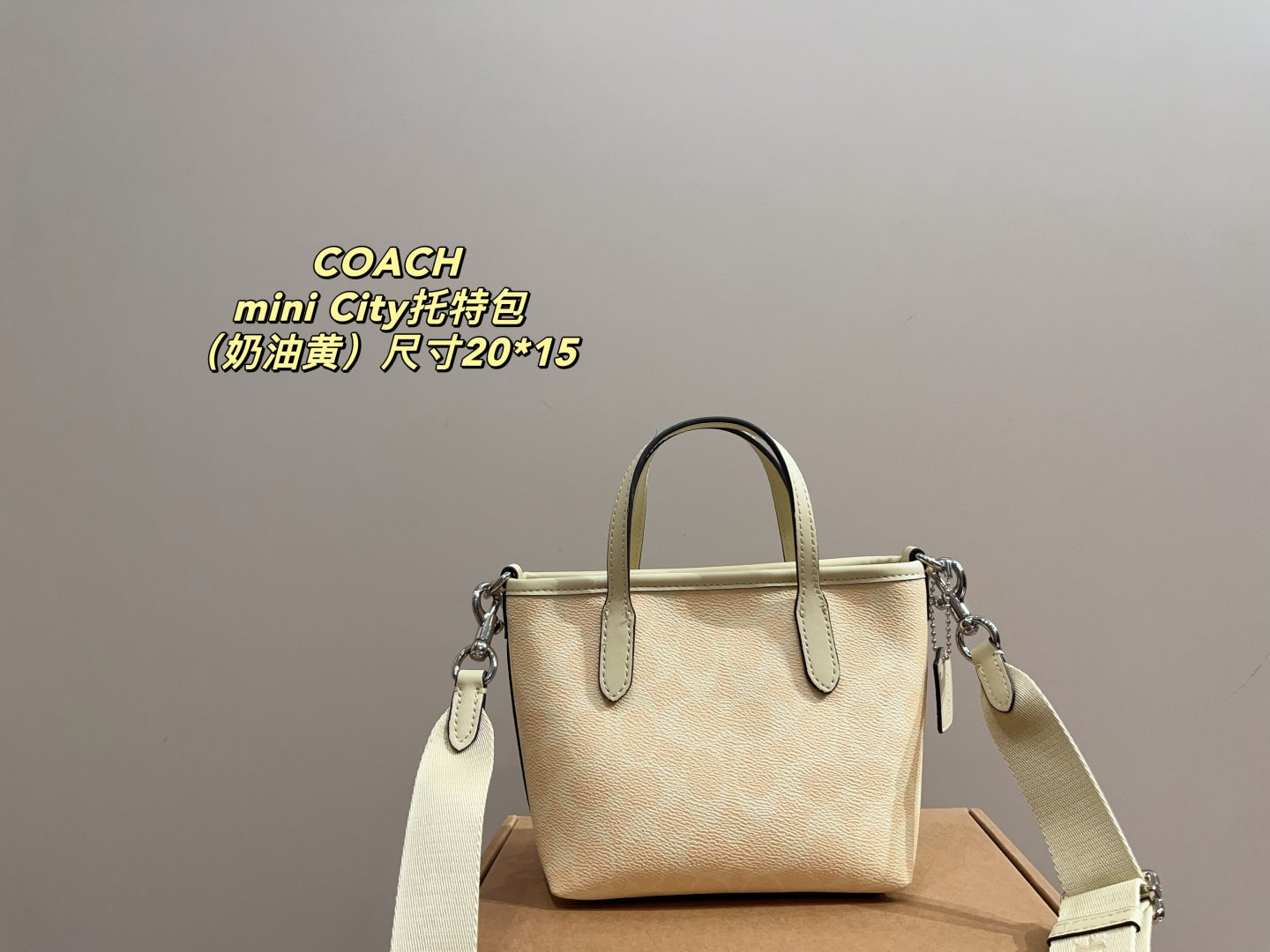 Coach City 15 Mini Tote Bag