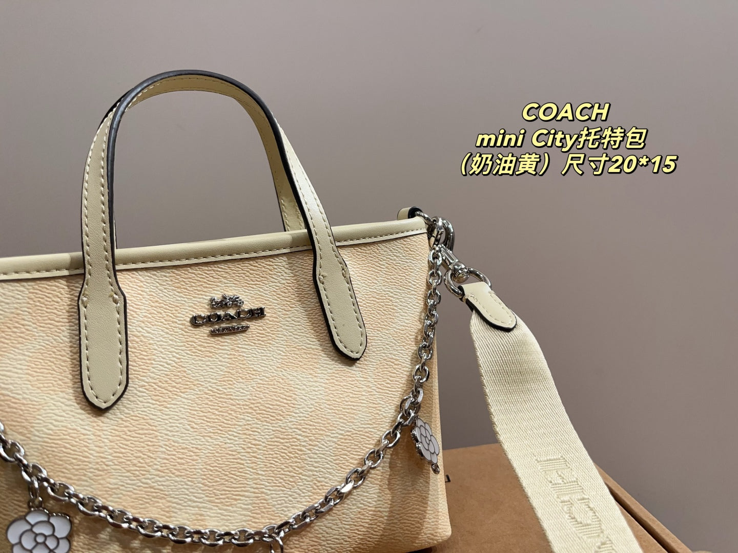 Coach City 15 Mini Tote Bag
