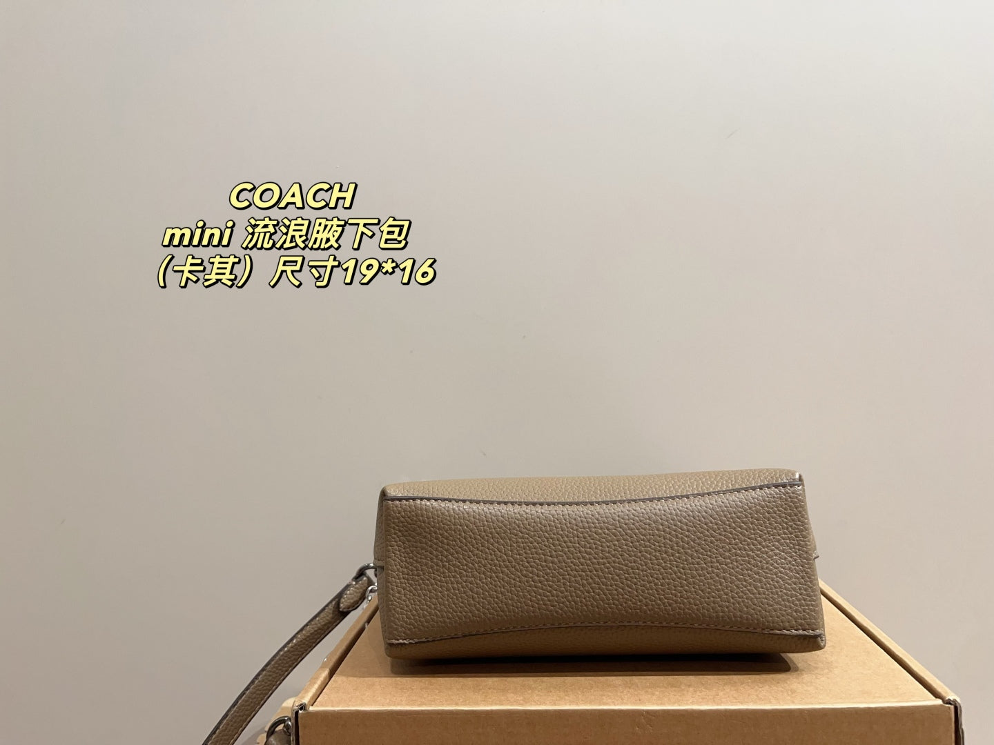 Coach Mini Hobo Underarm Bag