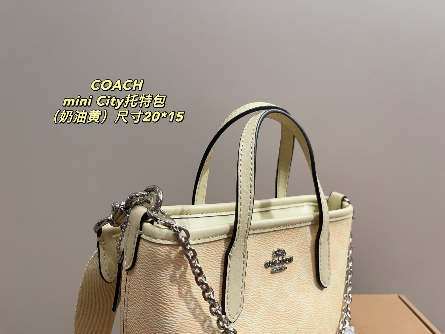 Coach City 15 Mini Tote Bag