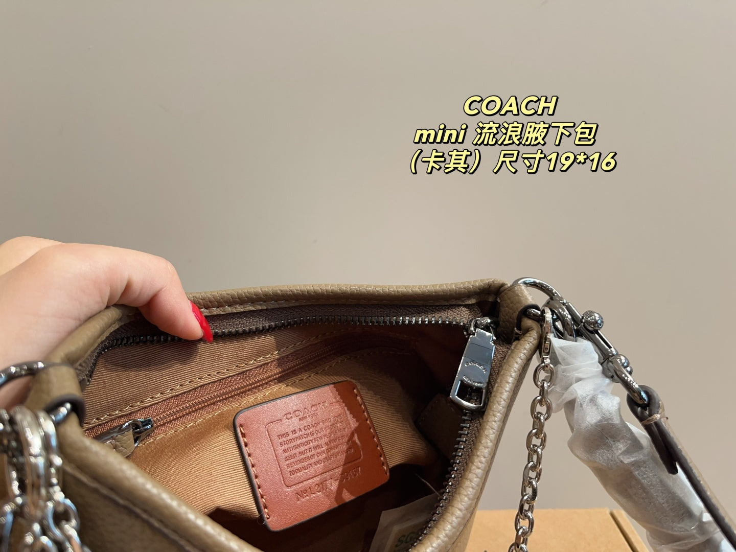 Coach Mini Hobo Underarm Bag