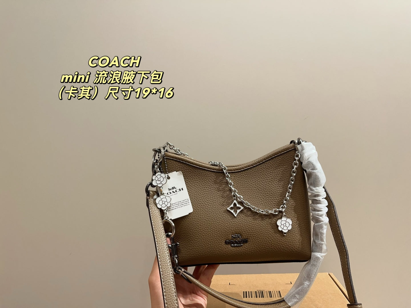 Coach Mini Hobo Underarm Bag