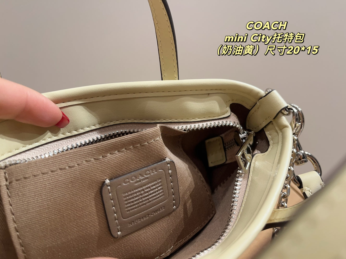 Coach City 15 Mini Tote Bag