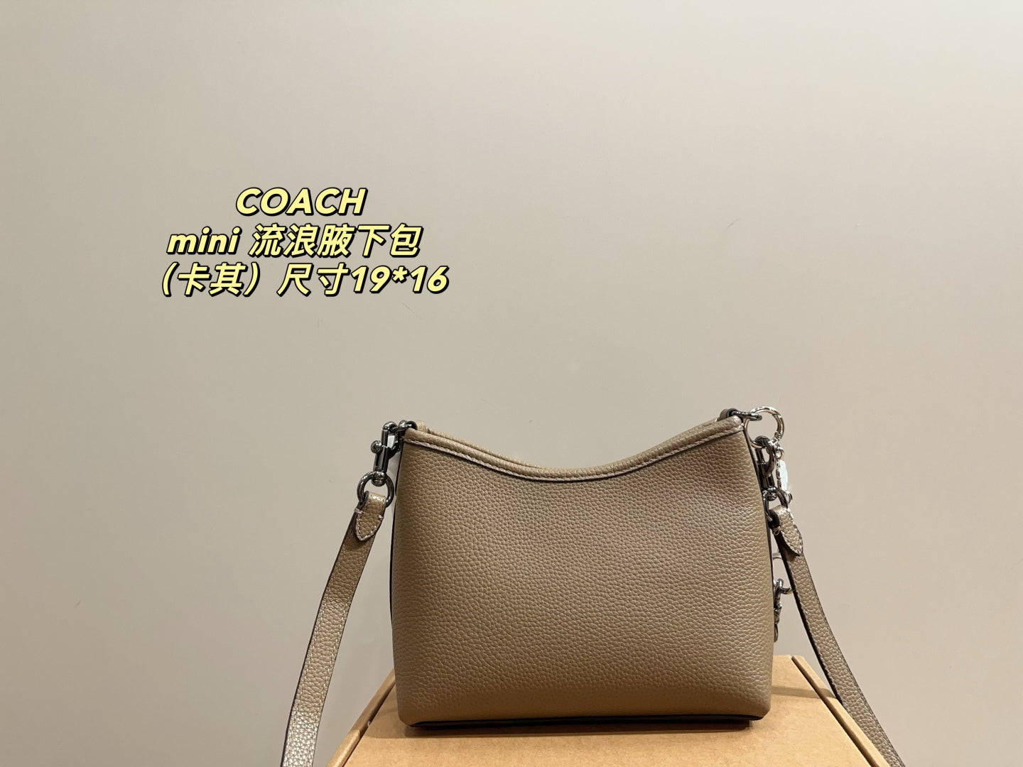 Coach Mini Hobo Underarm Bag