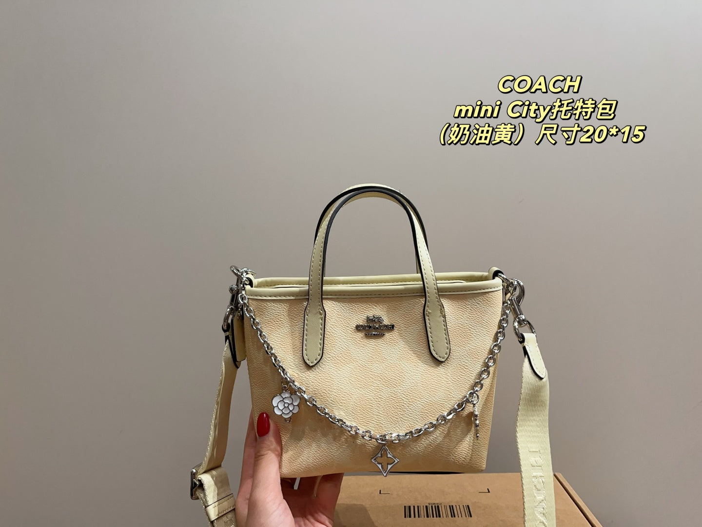 Coach City 15 Mini Tote Bag