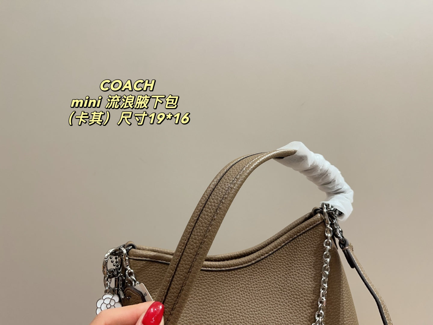 Coach Mini Hobo Underarm Bag