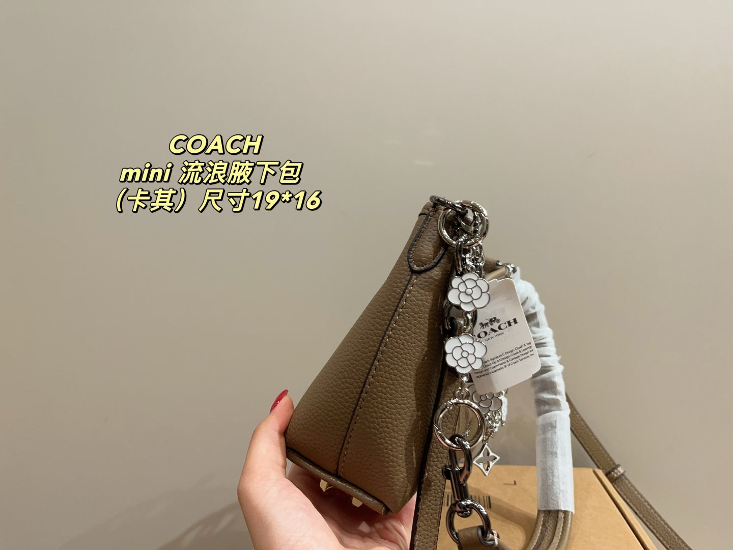 Coach Mini Hobo Underarm Bag