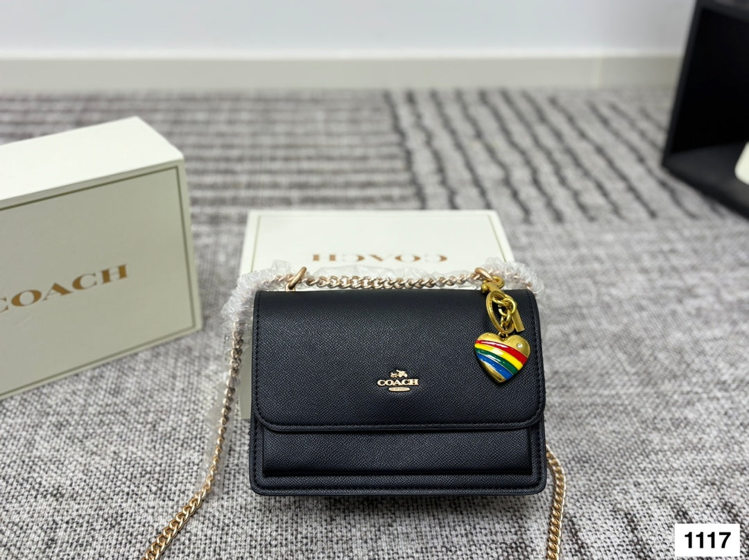 COACH Accordion Chain Bag