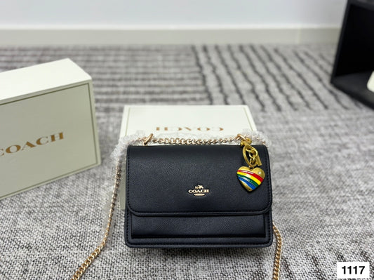 COACH Accordion Chain Bag