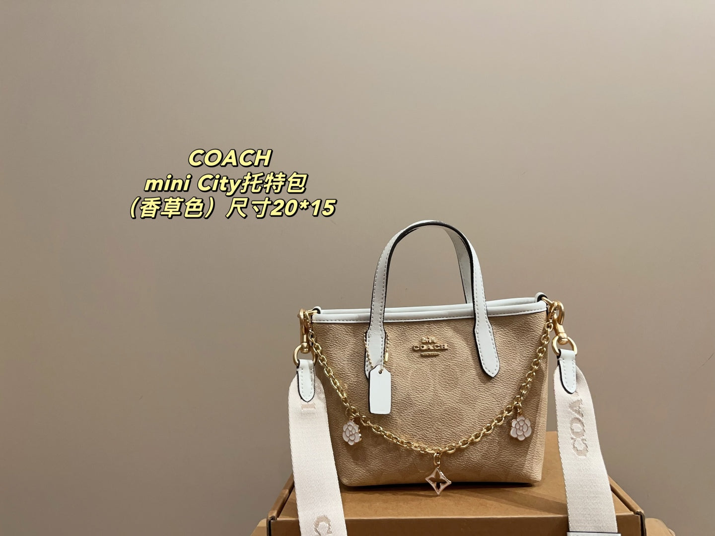 Coach City 15 Mini Tote Bag
