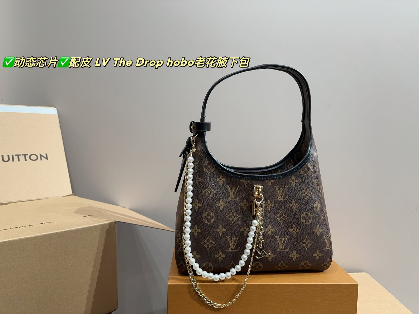 LV The Drop Hobo Monogram Underarm Bag
