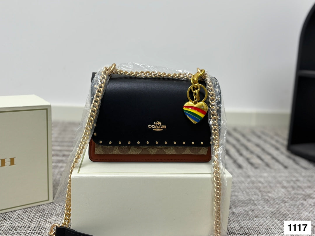 COACH Accordion Chain Bag