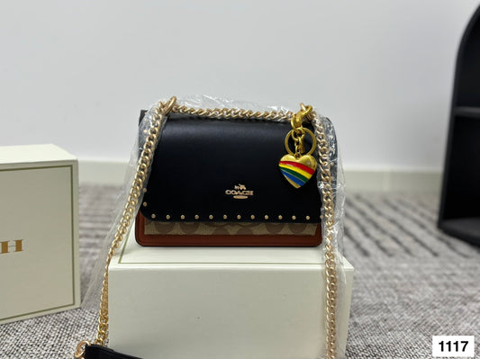 COACH Accordion Chain Bag