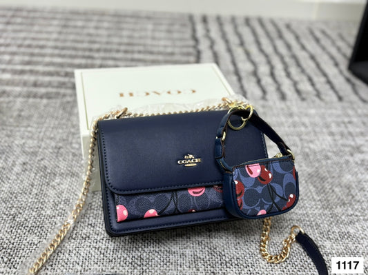 COACH Accordion Chain Bag